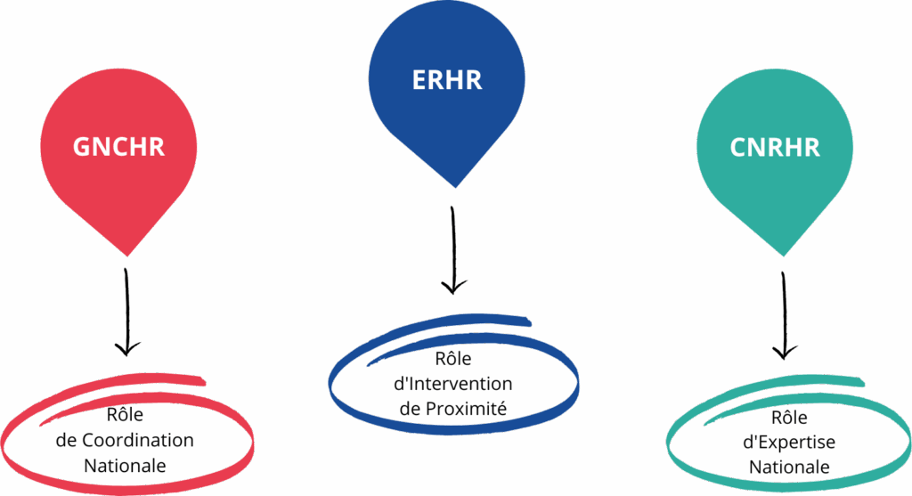 Schéma qui présente les 3 acteurs et leurs rôles. GNCHR a un rôle de coordination nationale, les ERHR ont un rôle d'intervention de proximité et les CNRHR ont un rôle d'expertise nationale